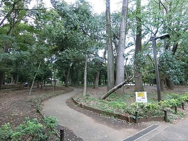 【周辺】林試の森公園サービスセンター 徒歩12分。 890m