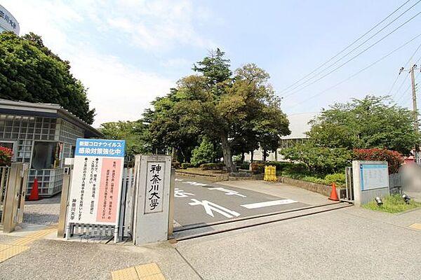 【周辺】神奈川大学横浜キャンパス 徒歩15分。 1180m