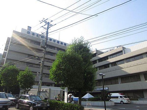 【周辺】日本医科大学病院 1200m