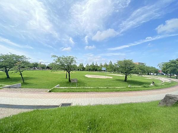 【周辺】☆平成中央公園が近くにあり、桜の名所となっており散歩やお子様連れで楽しめます☆