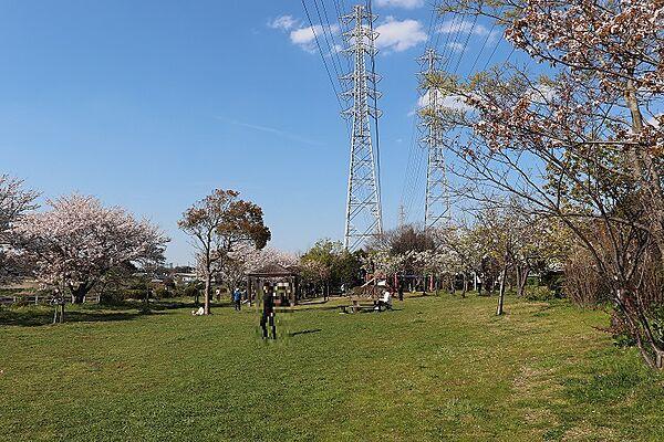 【周辺】千本木桜緑地。徒歩7分、約519ｍ。