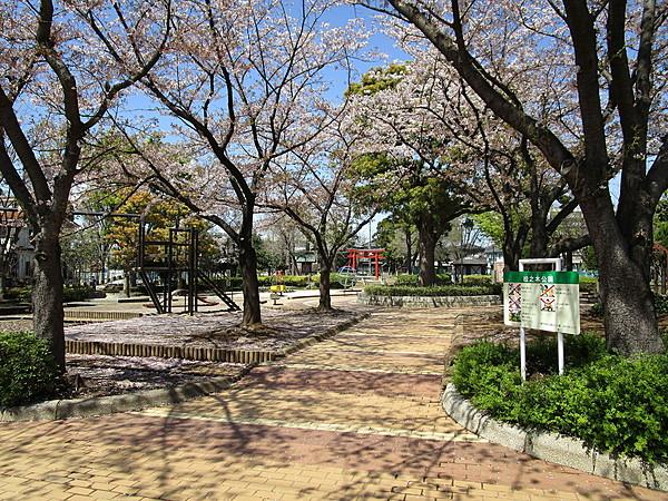 【周辺】松之木公園 徒歩 約5分（約350m）