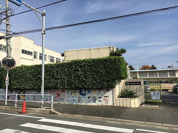 【周辺】松葉小学校松葉小学校 980m