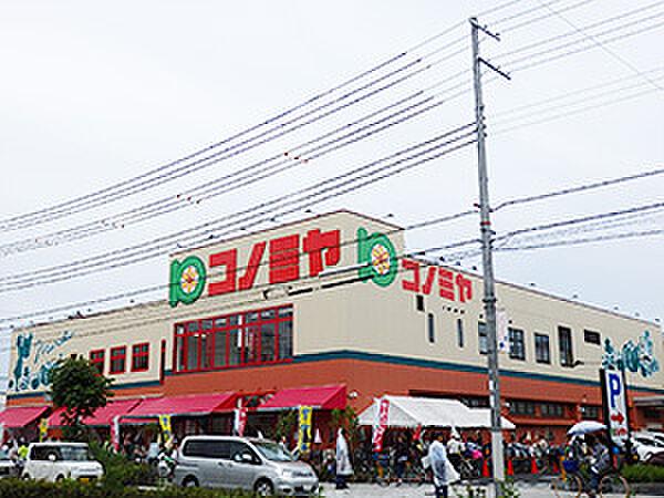 【周辺】【スーパー】スーパーマーケット コノミヤ 南田辺店まで76ｍ