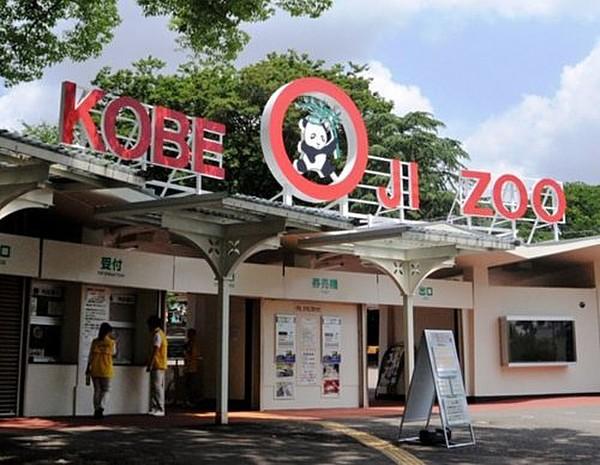 【周辺】動物園神戸市立王子動物園まで458ｍ