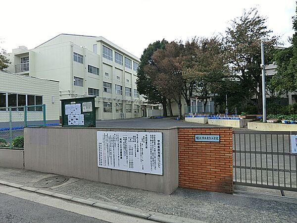 【周辺】横浜市立東台小学校　790ｍ