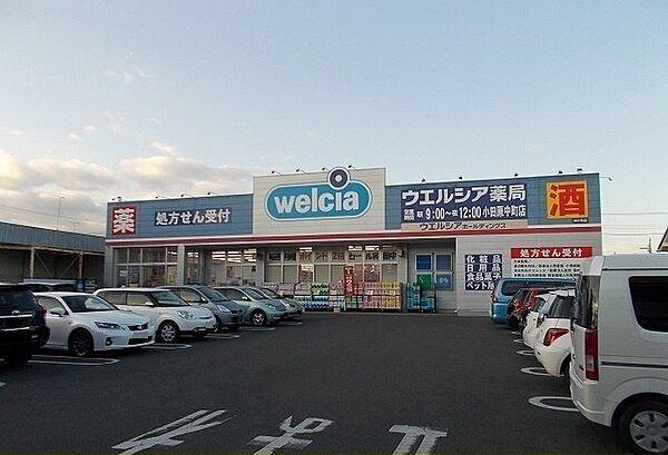 【周辺】ウエルシア小田原中町店まで600m