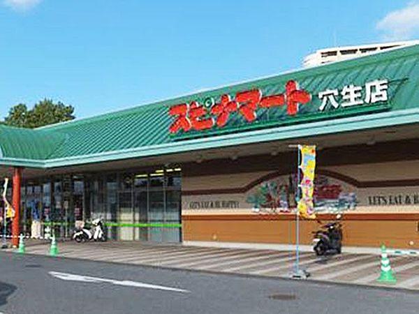 【周辺】スーパー スピナ穴生店 173m