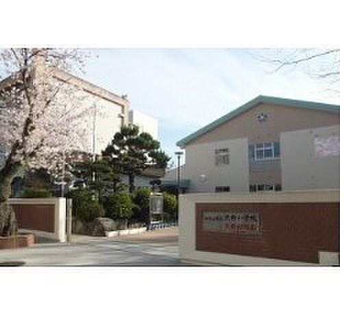 【周辺】小学校「和歌山市立大新小学校まで858m」