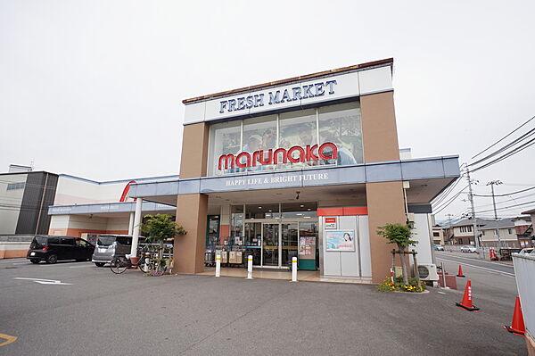【周辺】マルナカ 平井店