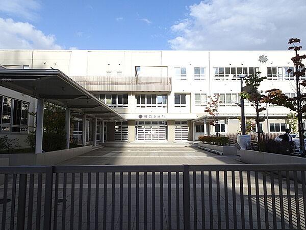 【周辺】小学校「新潟市立笹口小学校まで350m」
