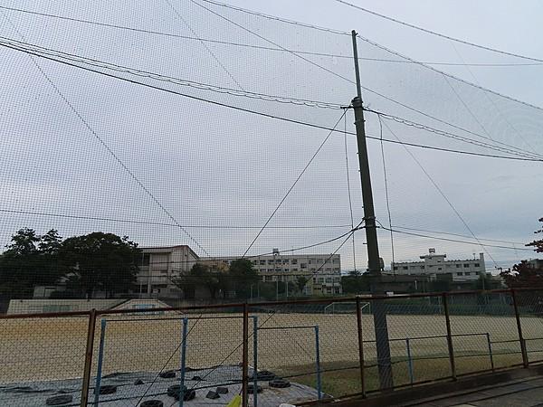 【周辺】名古屋市立千鳥丘中学校 徒歩 約4分（約300m）