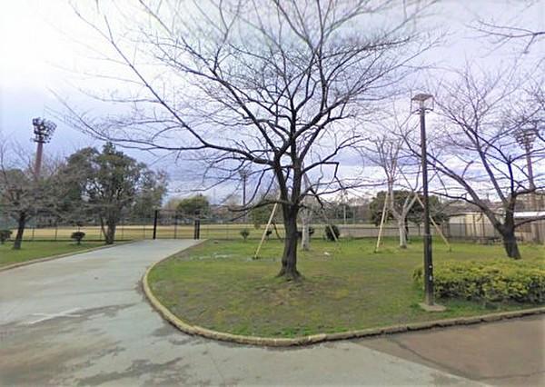 【周辺】公園東綾瀬公園まで10ｍ