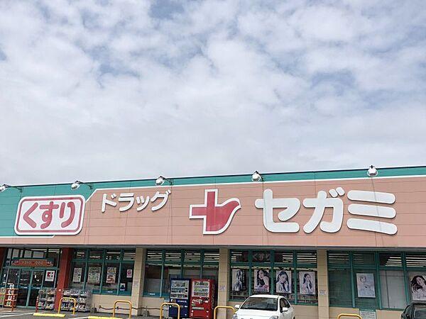 【周辺】ドラッグセガミ平尾山荘通り店　約450m
