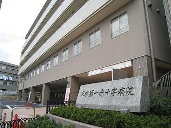 【周辺】【総合病院】京都第一赤十字病院 まで1171ｍ