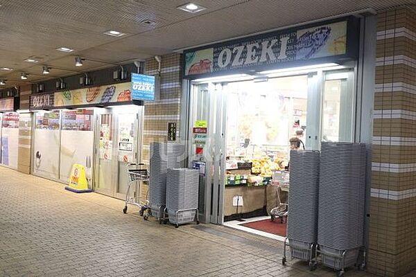 【周辺】オオゼキ市川店 徒歩10分。 740m