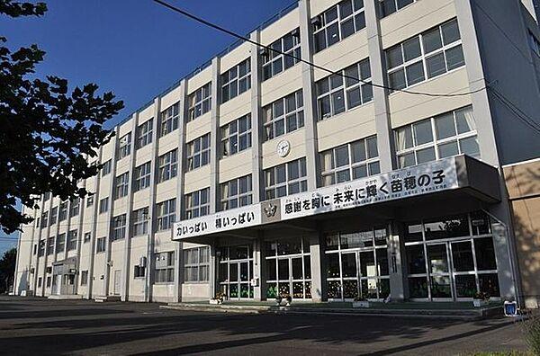 【周辺】札幌市立苗穂小学校 1260m