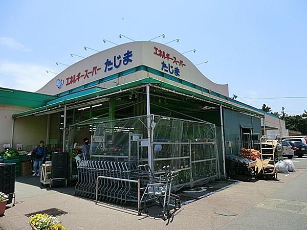 【周辺】エネルギースーパーたじま美浜店　物件より約1300ｍ徒歩17分
