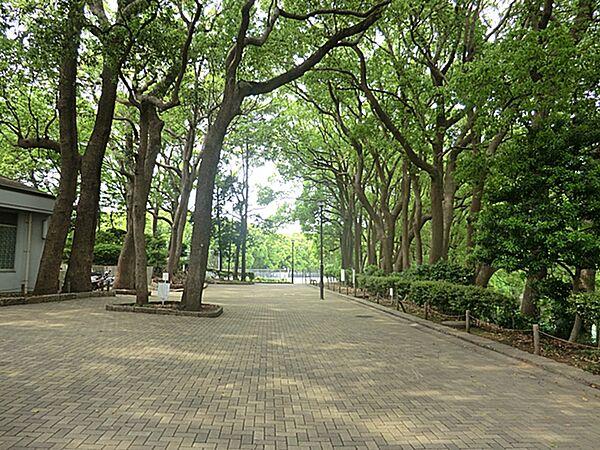 【周辺】横浜市役所 環境創造局 常盤公園　320ｍ