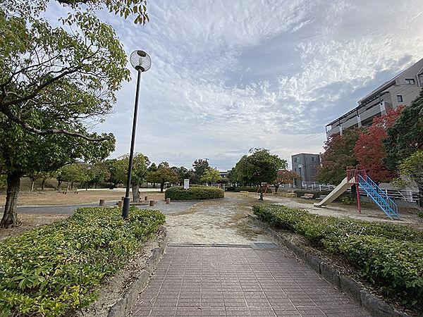 【周辺】金塚池公園まで徒歩1分(80m)