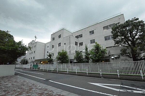 【周辺】新宿小学校 666m