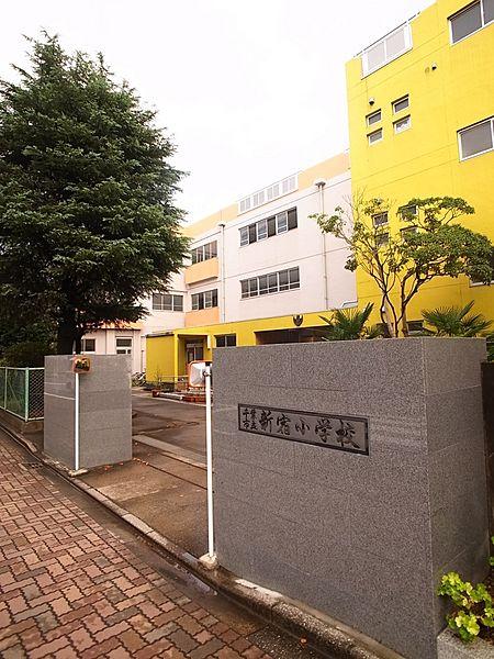 【周辺】【小学校】千葉市立  新宿小学校 まで497ｍ