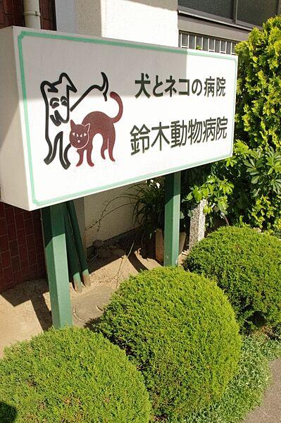 【周辺】【動物病院】鈴木動物病院まで607ｍ