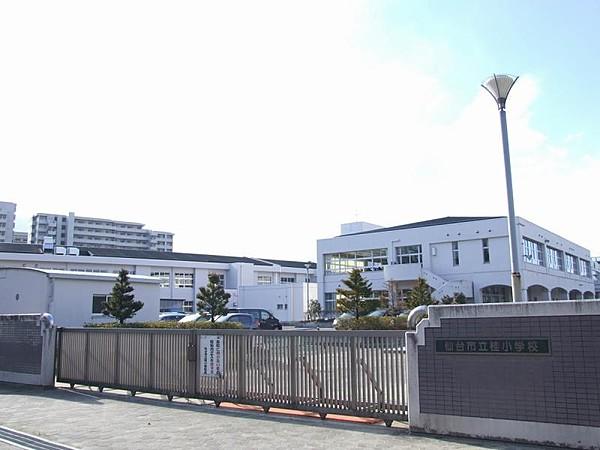 【周辺】仙台市立桂小学校800m