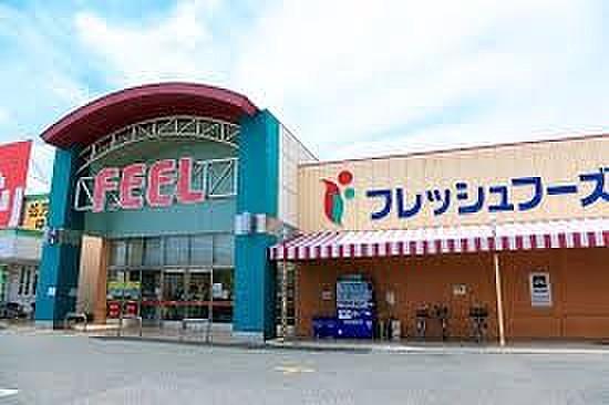 【周辺】FRESH FOODS FEEL(フレッシュフーズフィール) 367m