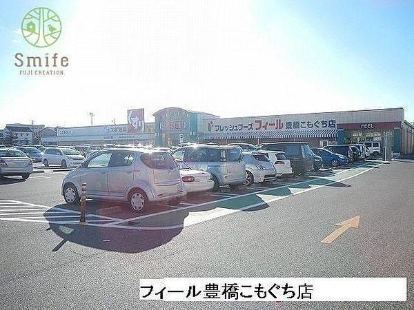 【周辺】フィール豊橋こもぐち店 徒歩17分。 1350m