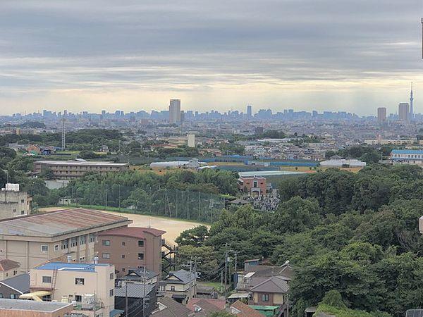 【周辺】バルコニーから見た南西側の眺望です。東京スカイツリーも見えます。