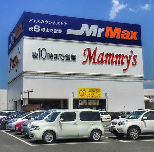 【周辺】【ディスカウントショップ】MrMax(ミスターマックス) 久留米インター店まで362ｍ