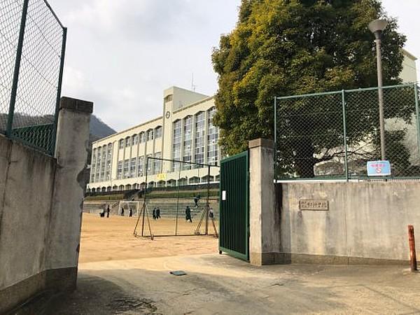 【周辺】【中学校】神戸市立布引中学校まで1140ｍ