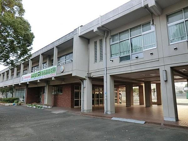 【周辺】横浜市立いずみ野中学校　1466m