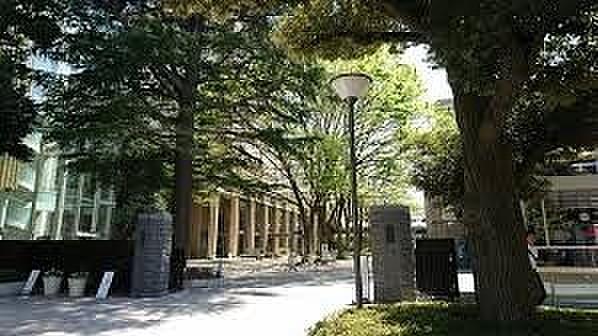 【周辺】私立武蔵大学 徒歩5分。 360m