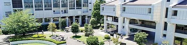【周辺】私立横浜商科大学みどりキャンパス 徒歩62分。 4890m
