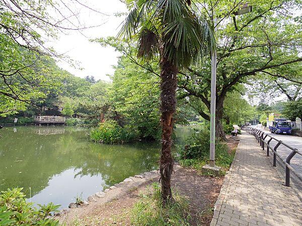 【周辺】【公園】東京都立石神井公園まで496ｍ