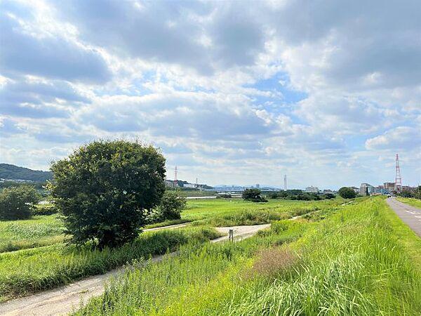 【周辺】『府中多摩川かぜのみち』まで徒歩7分　長閑な景色が広がる多摩川を眺めながら、ランニングやサイクリング、バーベキューなどを楽しめます。緑が多く残りお子様にも嬉しい住環境です。