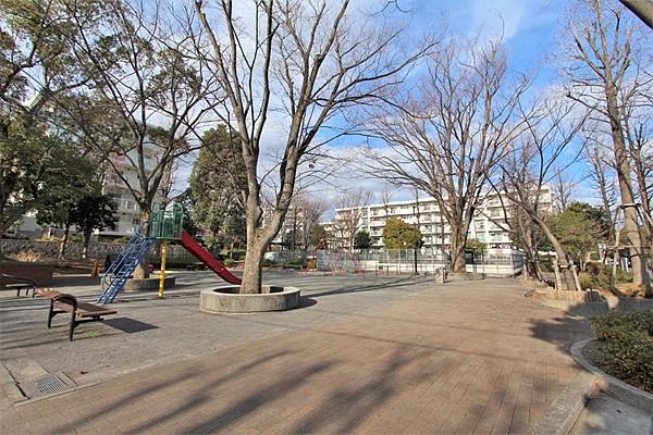 【外観】公園　横浜市の中でもひときわ緑の潤いに満ちた青葉区。公園数や街路樹数は、市内でも一番多く、街のいたるところで緑を感じます　お子様の遊び場やお散歩コースにもご活用いただけそうです。