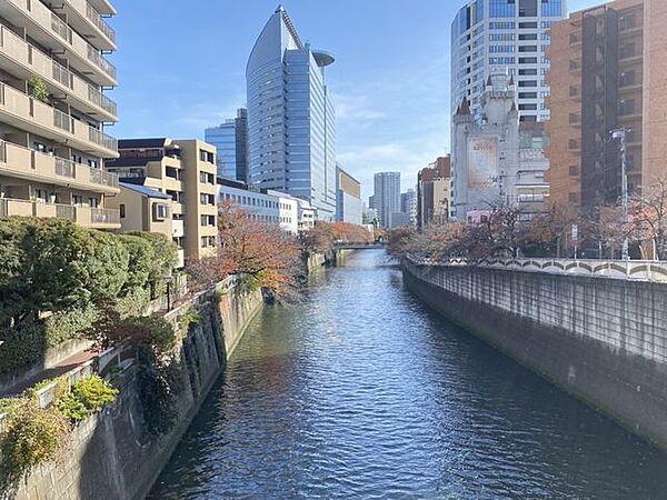 【周辺】目黒川休日には川沿いをゆったり散策。春には満開の桜が楽しめます 500m