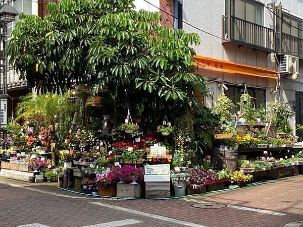 【周辺】花の店　ややお店の前には季節の花、定番のお花、観葉植物などが綺麗に並んでいて街のフラワーショップとして、お花だけでなく温かい雰囲気も提供してくれると、地元で評判のお花屋さ… 徒歩 約4分（約300m）