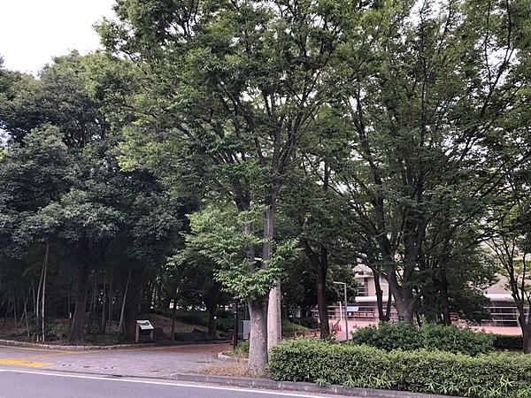 【周辺】とどろき緑地　とどろきアリーナ　川崎市民ミュージアム 徒歩 約4分（約300m）