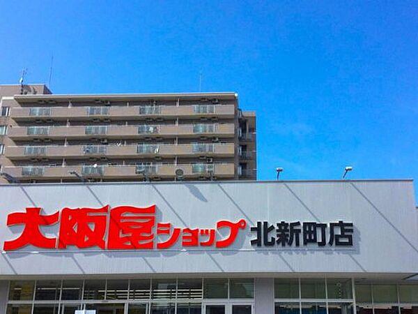 【周辺】【スーパー】大阪屋ショップ　北新町店まで142ｍ