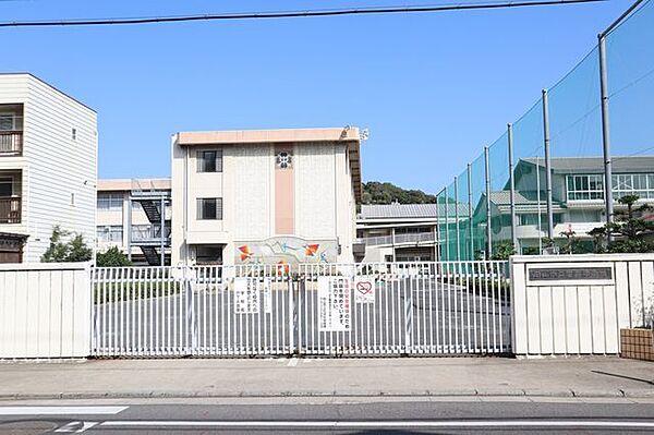 【周辺】近隣写真 岡山市立石井中学校　徒歩2分 100m