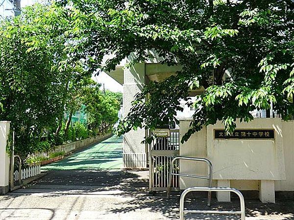 【周辺】文京区立第十中学校 徒歩8分。 640m