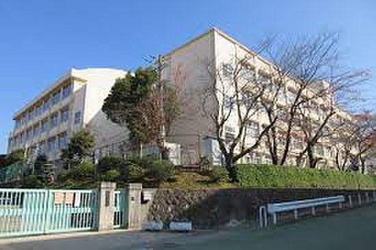 【周辺】【小学校】神戸市立 有野東小学校まで492ｍ