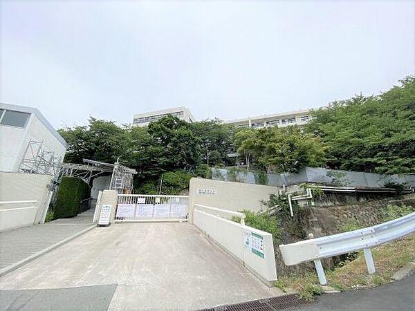 【周辺】【大学】私立神戸薬科大学まで2403ｍ