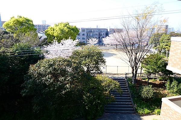 【周辺】北側洋室からは公園の緑溢れる景色・春には桜が多く咲きます！