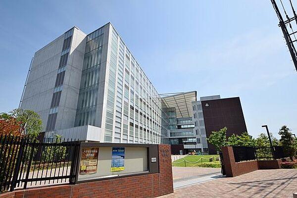 【周辺】日本大学商学部 593m