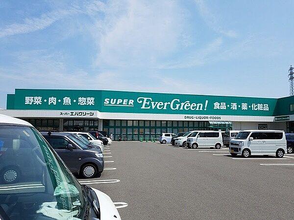 【周辺】ドラッグストア 「スーパーエバグリーン福島店まで364m」